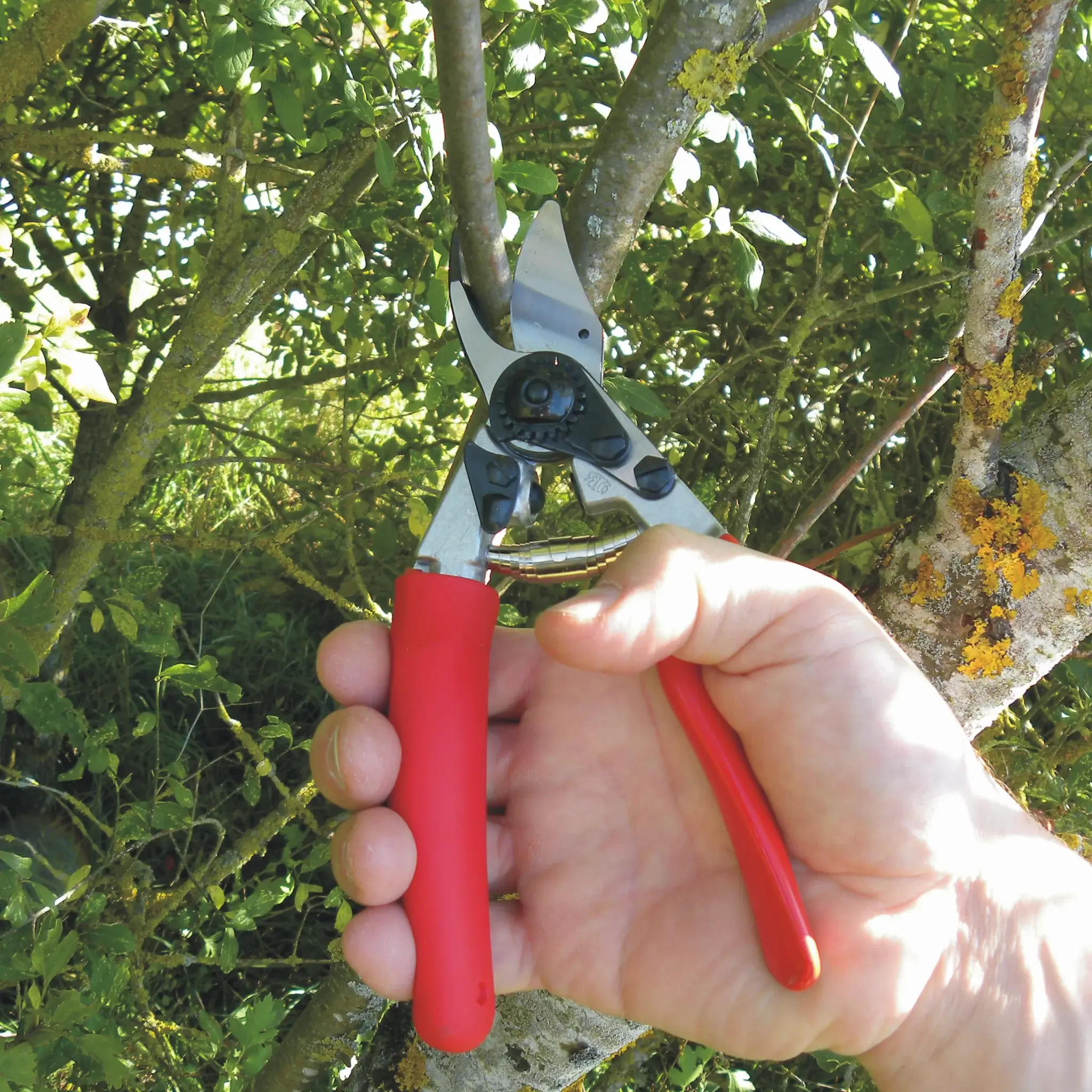 FELCO 12 snoeischaren