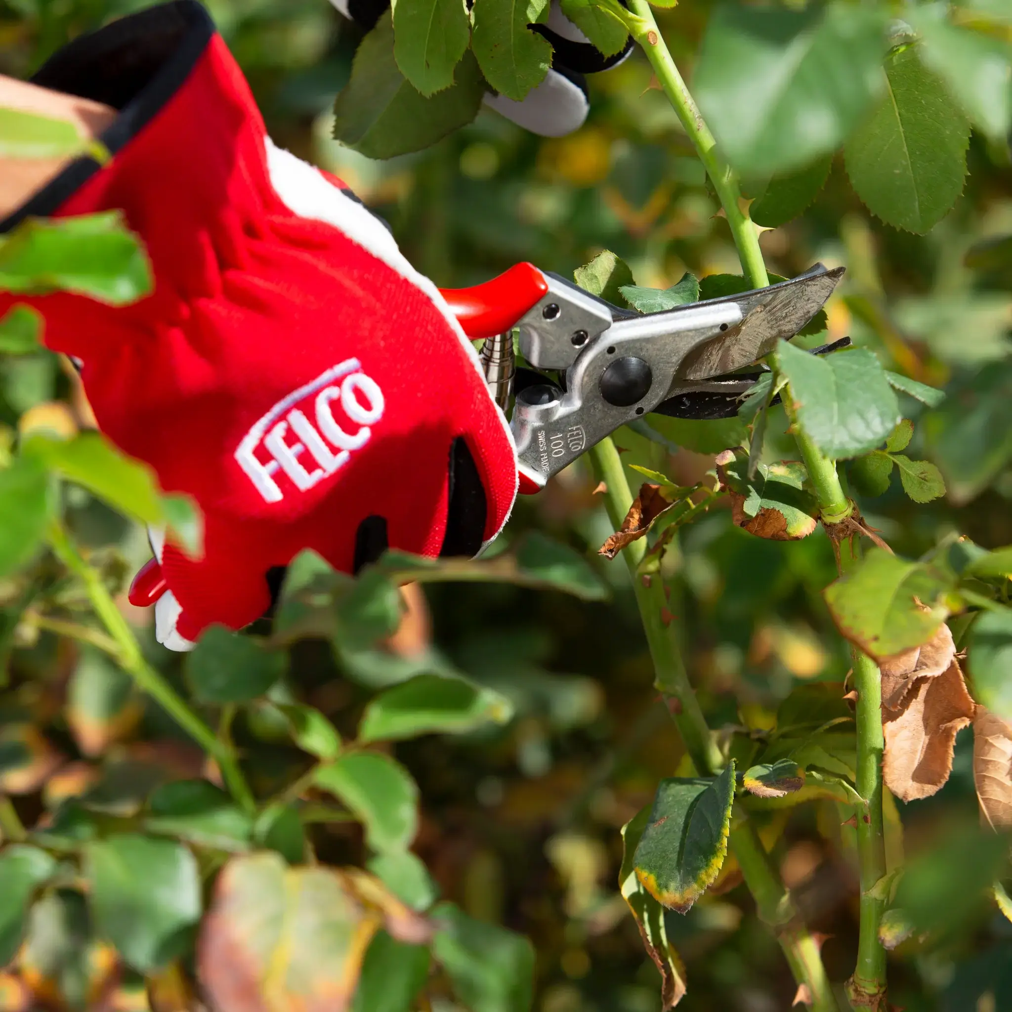 FELCO 100 snoeischaren