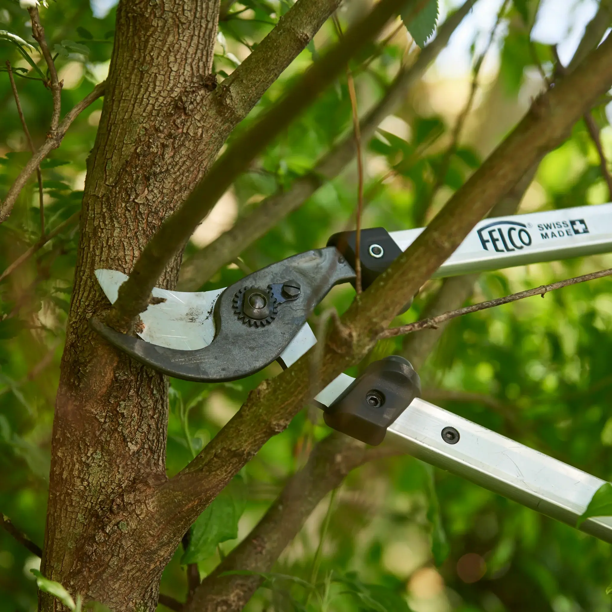 FELCO 211-50 takkenscharen