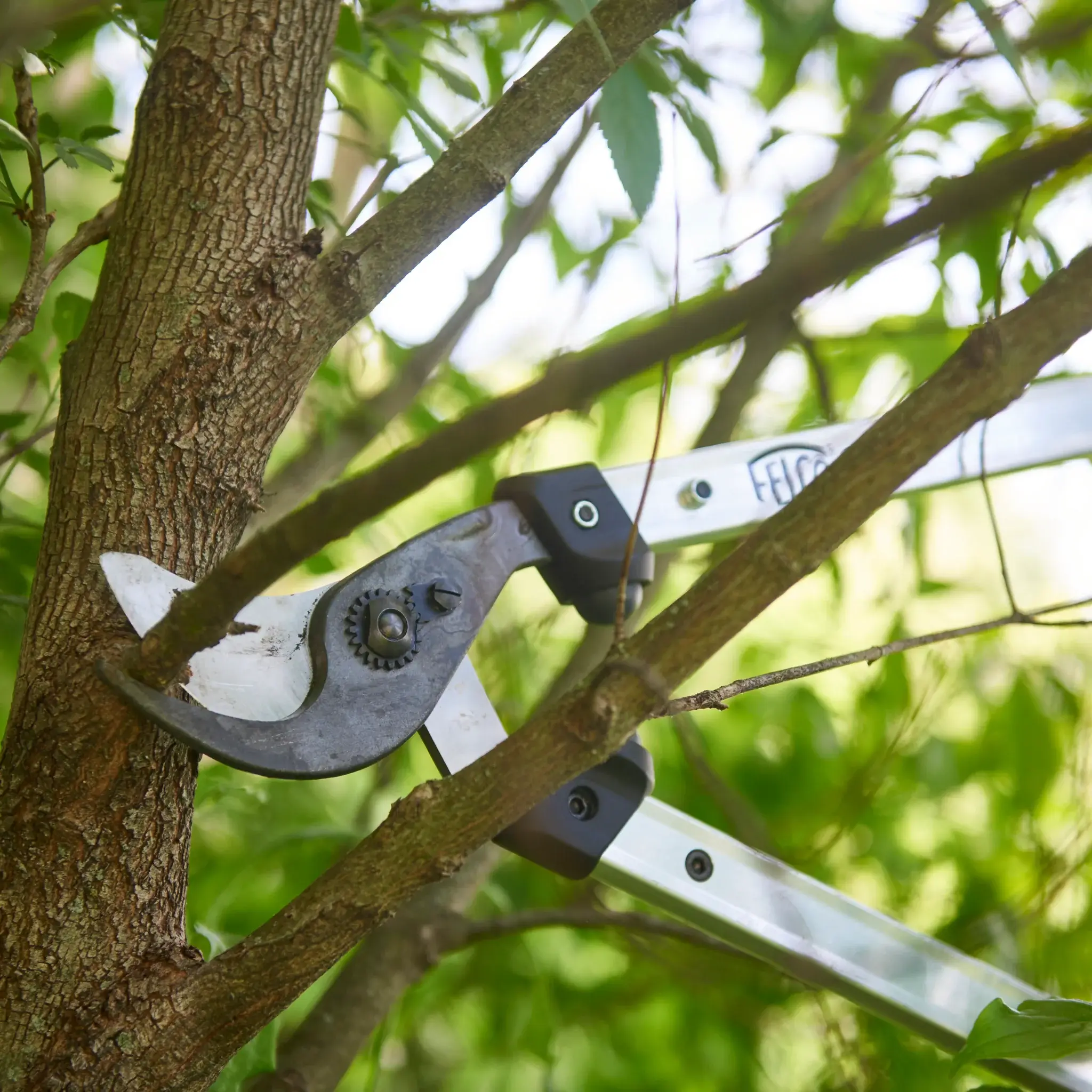 FELCO 211-60 takkenscharen