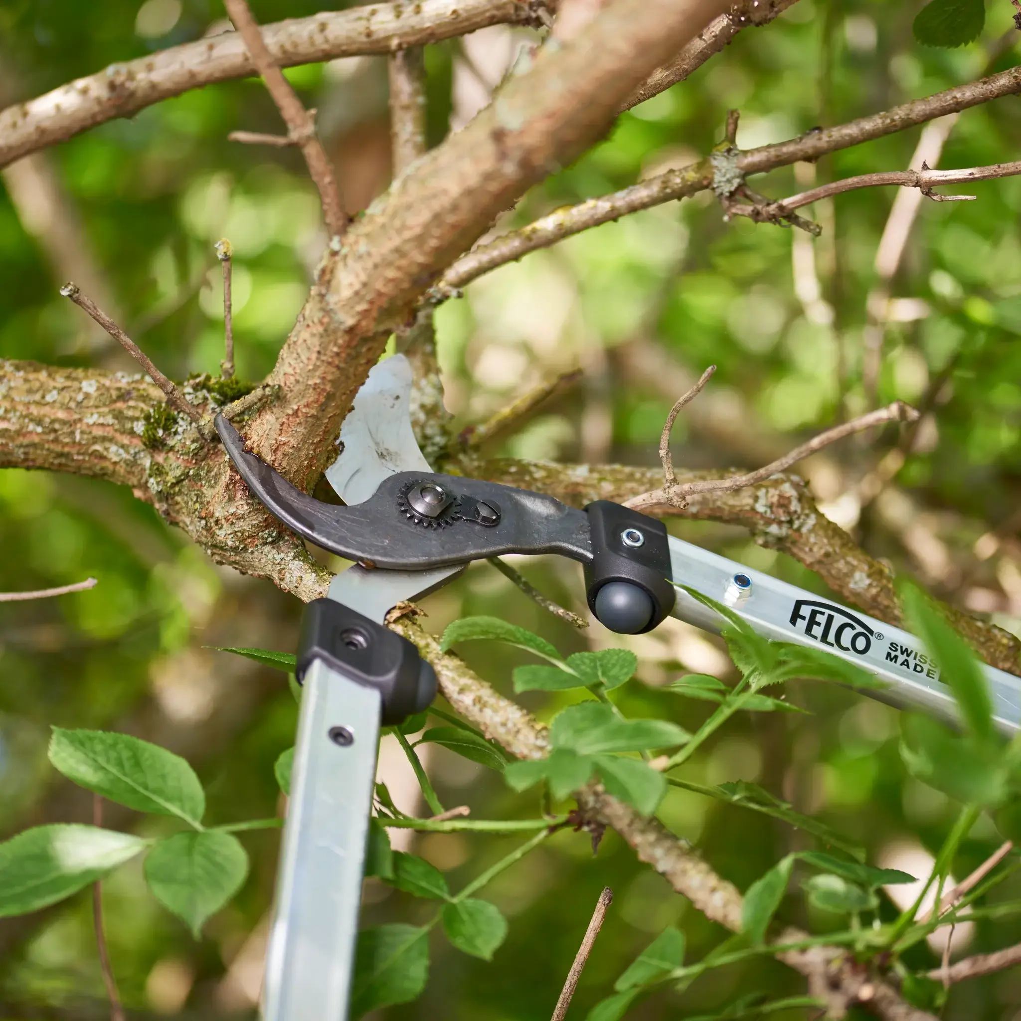 FELCO 211-60 takkenscharen