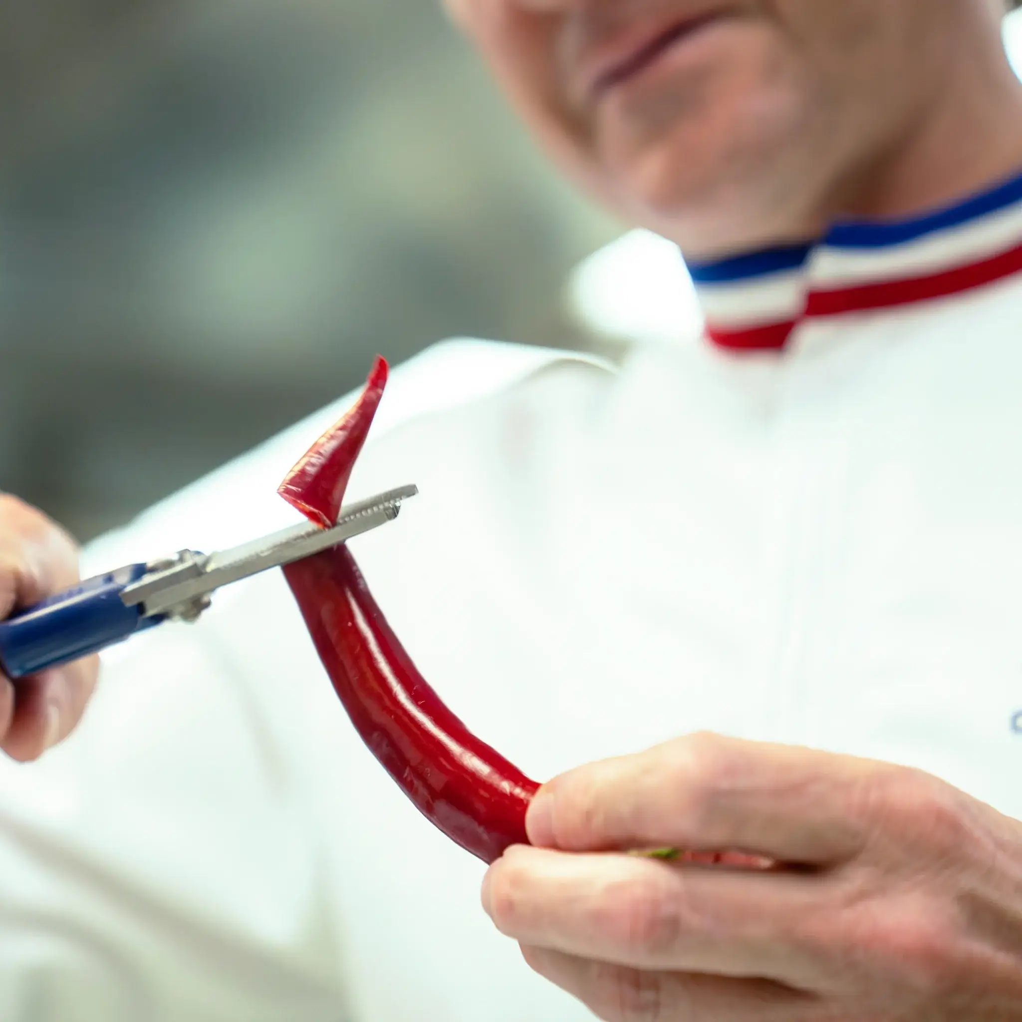 FELCO 1893 Professionele culinaire schaa