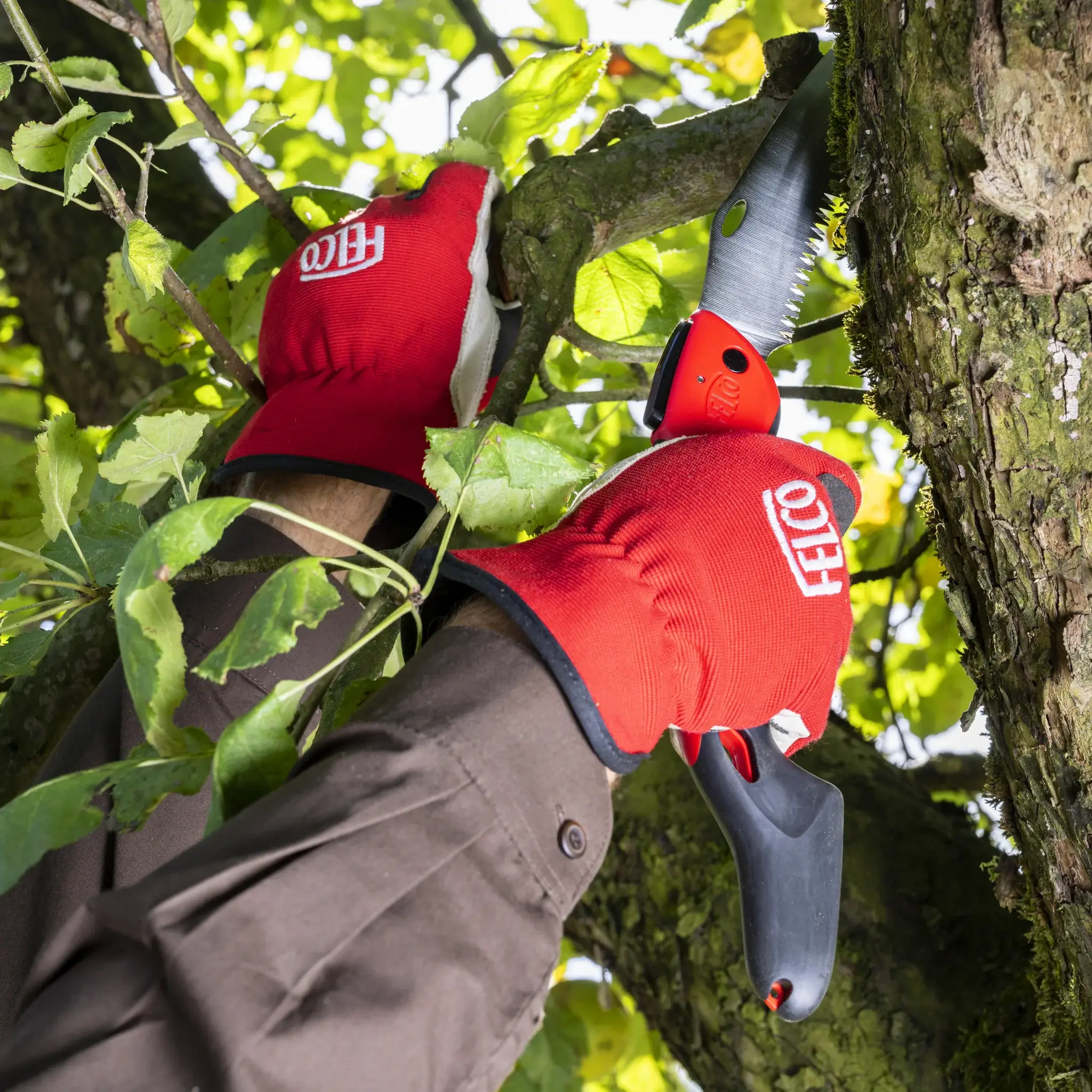FELCO 603 trekzagen