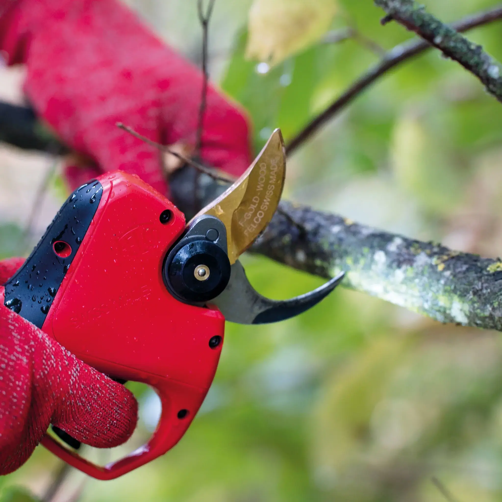 FELCO 834W