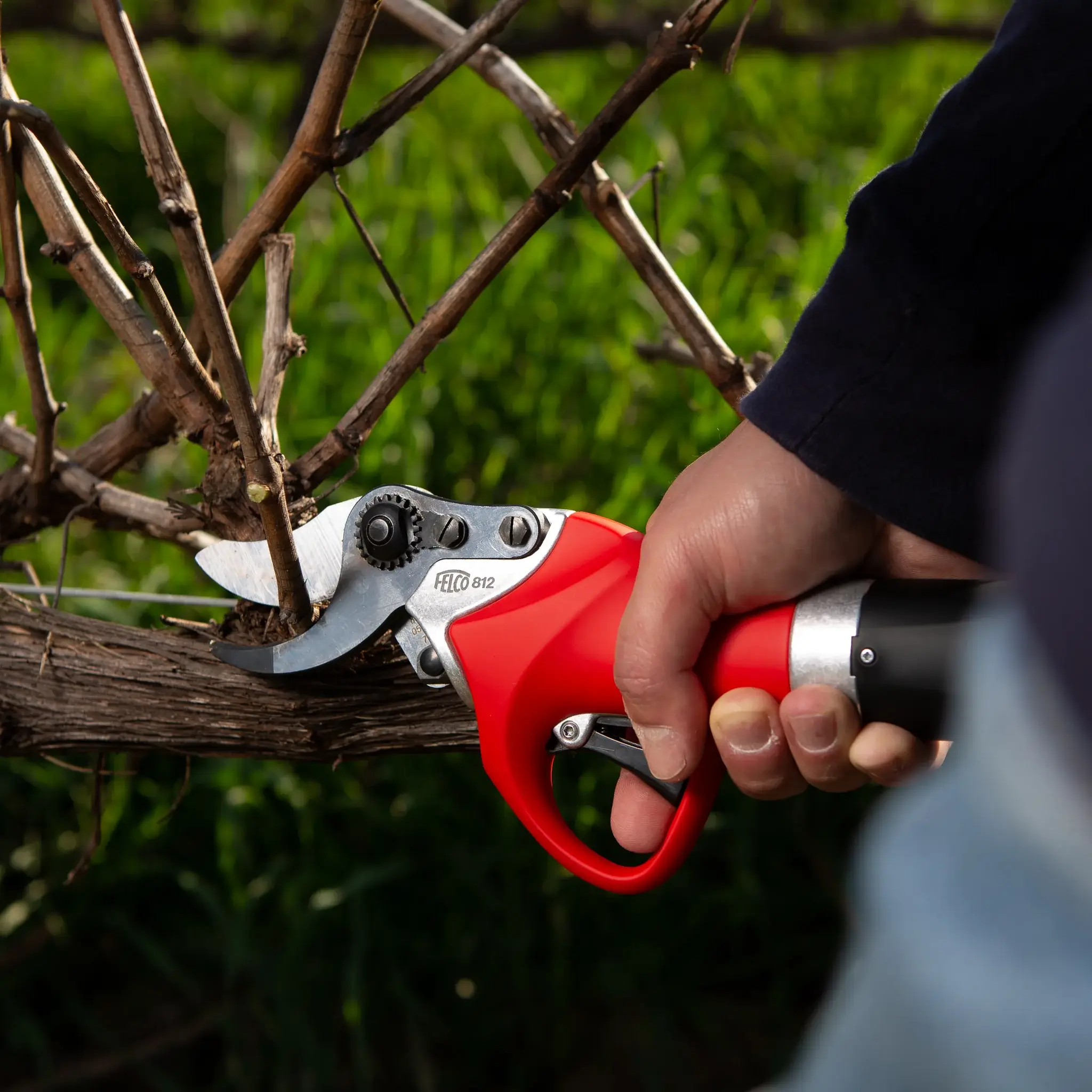 FELCO 812+